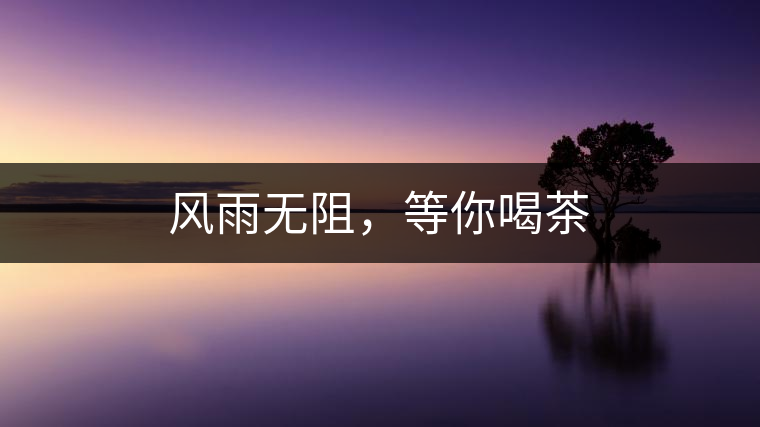 風(fēng)雨無阻，等你喝茶