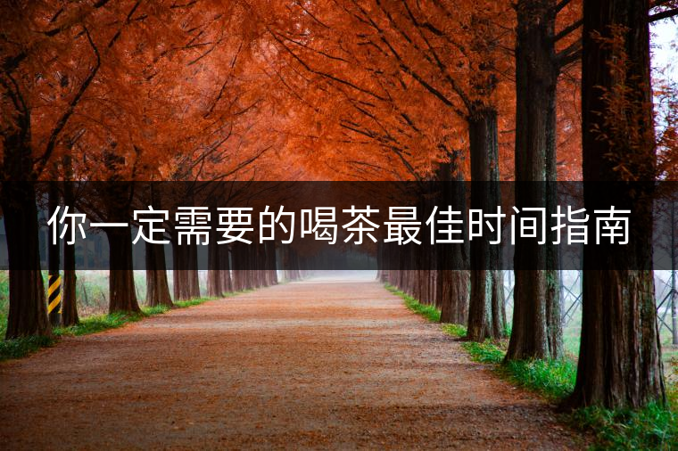 你一定需要的喝茶最佳時間指南