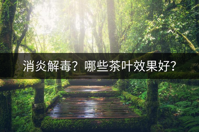 消炎解毒？哪些茶葉效果好？