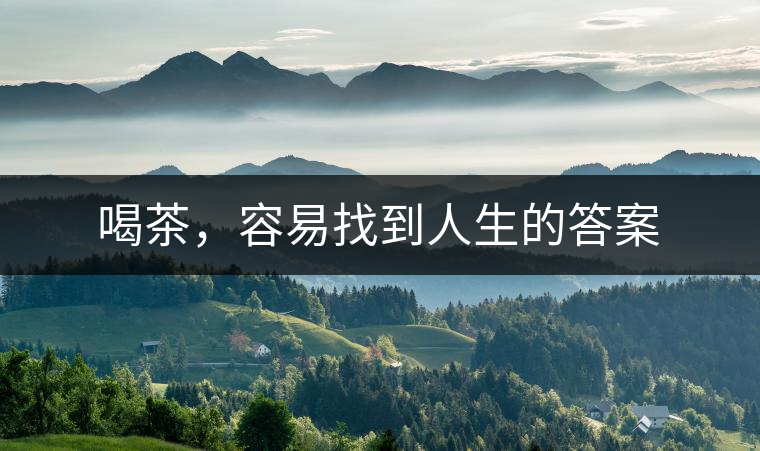 喝茶，容易找到人生的答案
