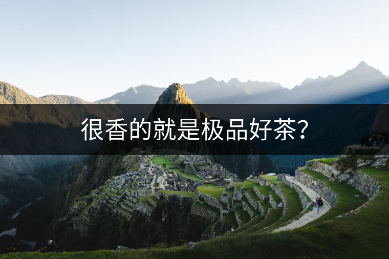 很香的就是極品好茶？