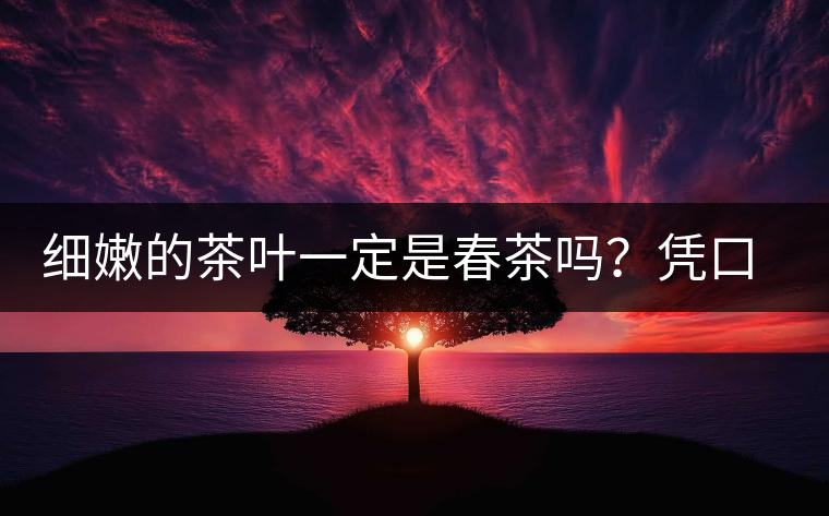 細(xì)嫩的茶葉一定是春茶嗎？憑口感鑒別春茶的方法