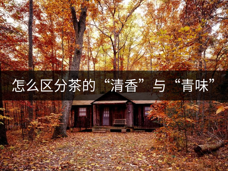 怎么區(qū)分茶的“清香”與“青味”？