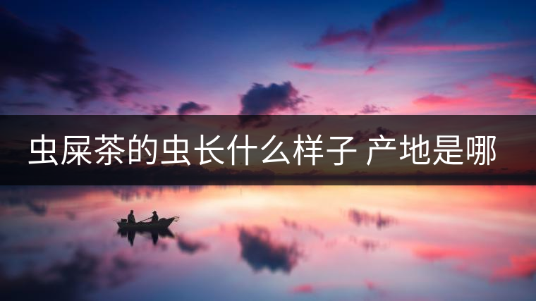 蟲(chóng)屎茶的蟲(chóng)長(zhǎng)什么樣子 產(chǎn)地是哪里? 蟲(chóng)屎茶的蟲(chóng)長(zhǎng)什么樣子 產(chǎn)地是哪里?