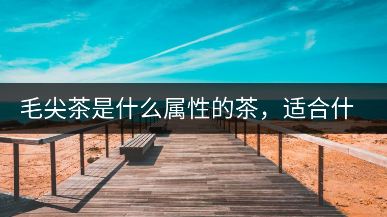 毛尖茶是什么屬性的茶，適合什么群體品飲？