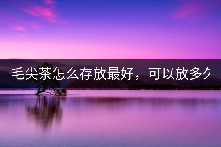 毛尖茶怎么存放最好，可以放多久？
