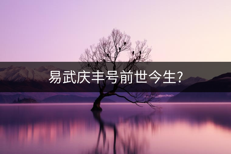 易武慶豐號(hào)前世今生?
