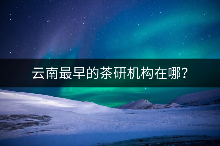 云南最早的茶研機構(gòu)在哪？