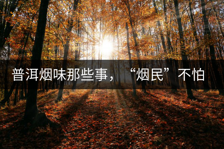 普洱煙味那些事，“煙民”不怕當(dāng)