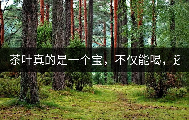 茶葉真的是一個寶，不僅能喝，還能用！