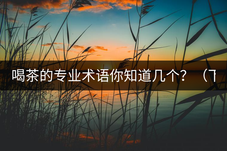 喝茶的專業(yè)術(shù)語你知道幾個(gè)？（下篇）