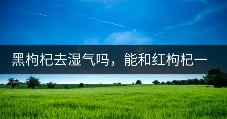 黑枸杞去濕氣嗎，能和紅枸杞一起泡嗎？