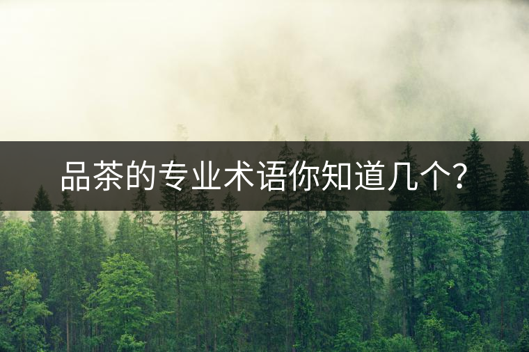 品茶的專業(yè)術語你知道幾個？