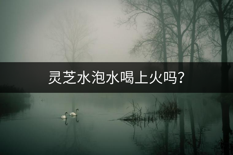 靈芝水泡水喝上火嗎？