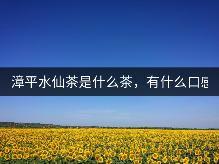 漳平水仙茶是什么茶，有什么口感特點(diǎn)！