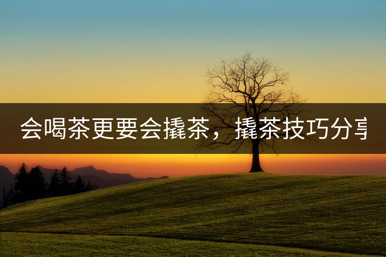 會喝茶更要會撬茶，撬茶技巧分享！