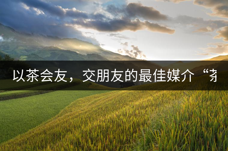 以茶會友，交朋友的最佳媒介“茶”！