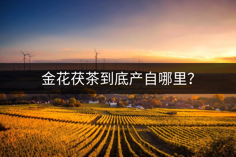 金花茯茶到底產(chǎn)自哪里？