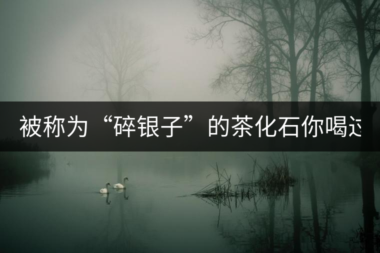 被稱為“碎銀子”的茶化石你喝過嗎？