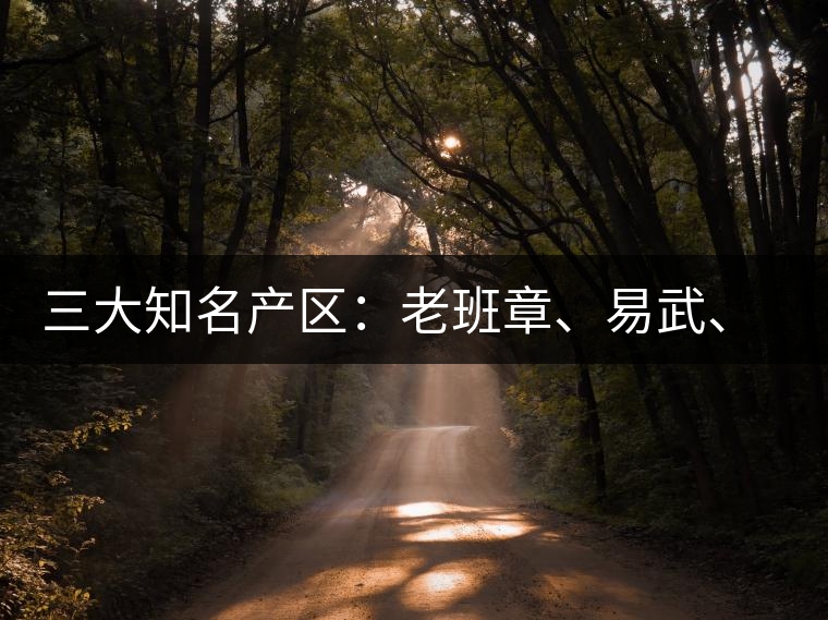 三大知名產(chǎn)區(qū)：老班章、易武、景邁三大茶系都有哪些特點(diǎn)！