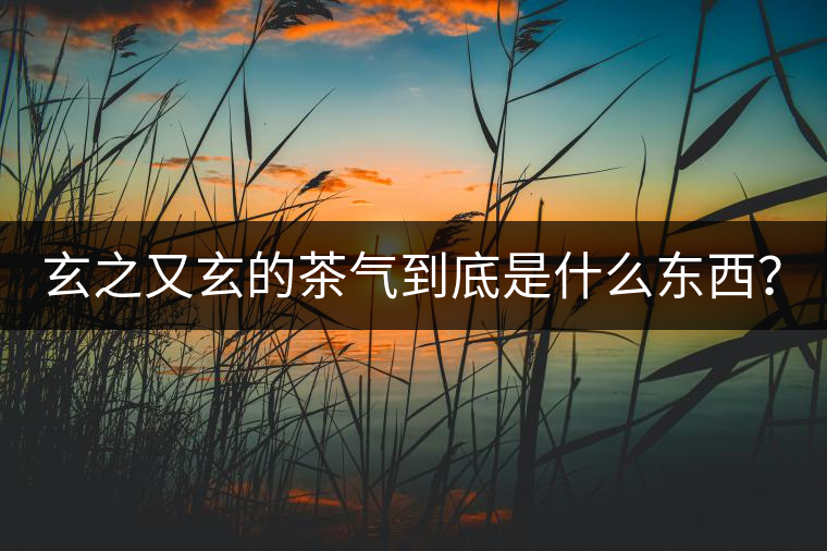 玄之又玄的茶氣到底是什么東西？