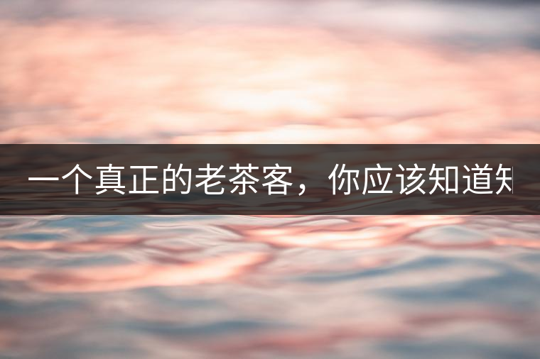 一個真正的老茶客，你應(yīng)該知道知識點！