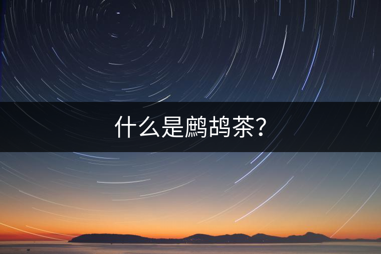 什么是鷓鴣茶？