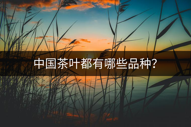 中國茶葉都有哪些品種？