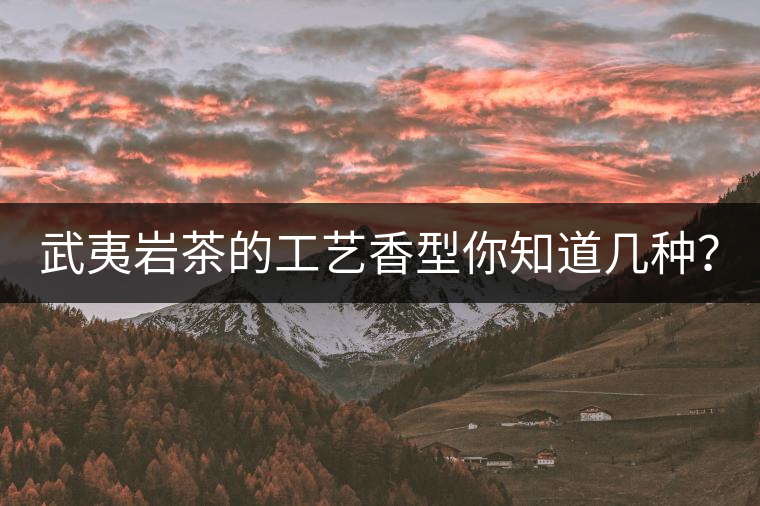 武夷巖茶的工藝香型你知道幾種？