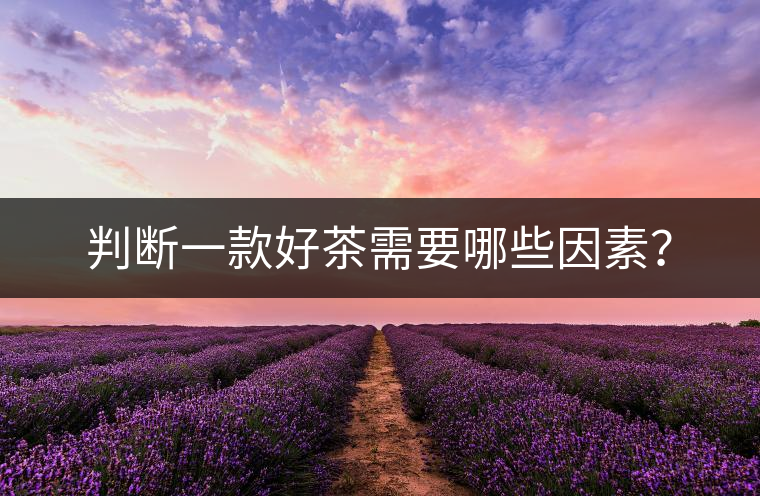 判斷一款好茶需要哪些因素？