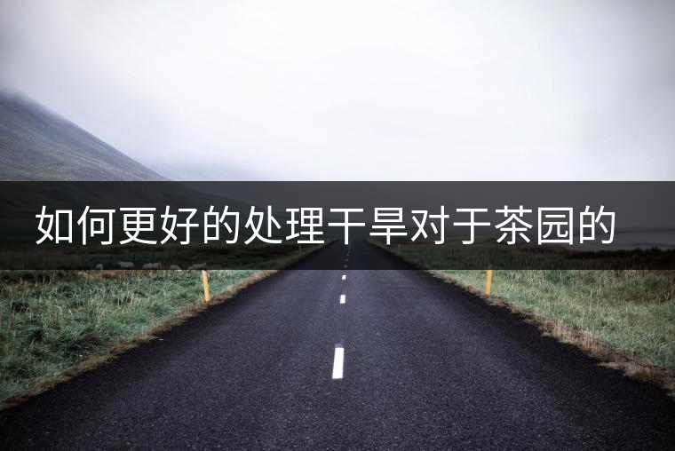 如何更好的處理干旱對于茶園的影響？
