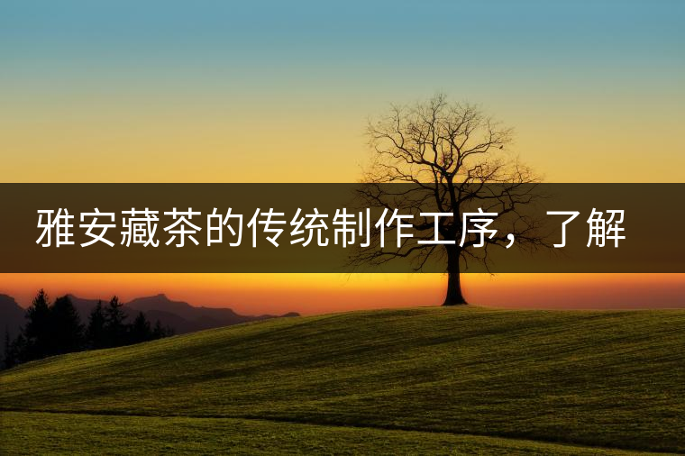 雅安藏茶的傳統(tǒng)制作工序，了解了傳統(tǒng)技藝才能更好的了解茶品！