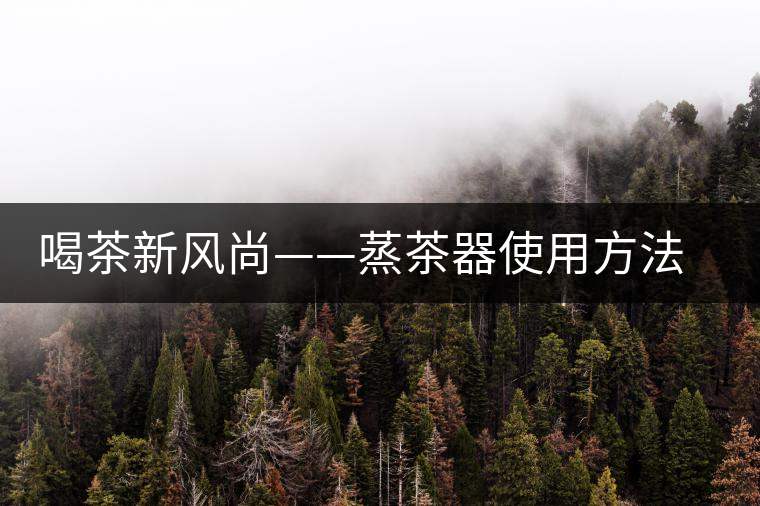 喝茶新風尚——蒸茶器使用方法介紹
