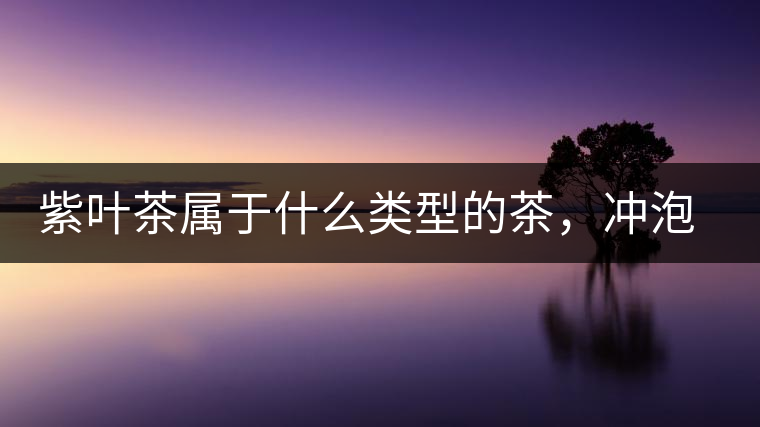 紫葉茶屬于什么類型的茶，沖泡需要注意什么？