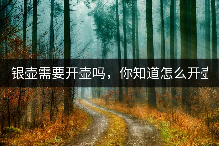 銀壺需要開壺嗎，你知道怎么開壺？