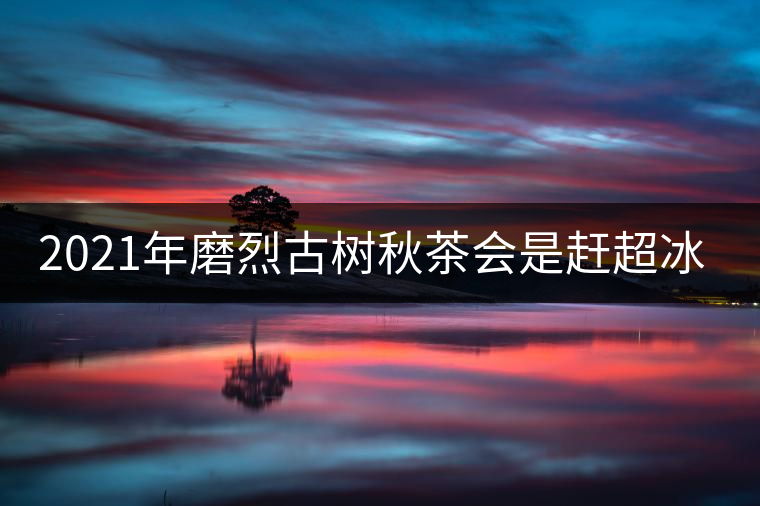 2021年磨烈古樹秋茶會是趕超冰島的存在嗎？