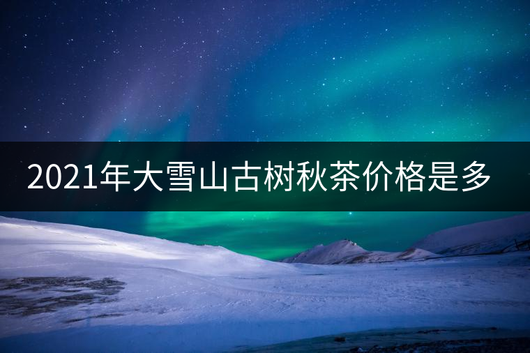 2021年大雪山古樹(shù)秋茶價(jià)格是多少？