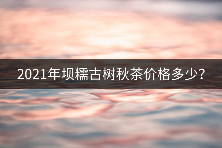 2021年壩糯古樹秋茶價(jià)格多少？