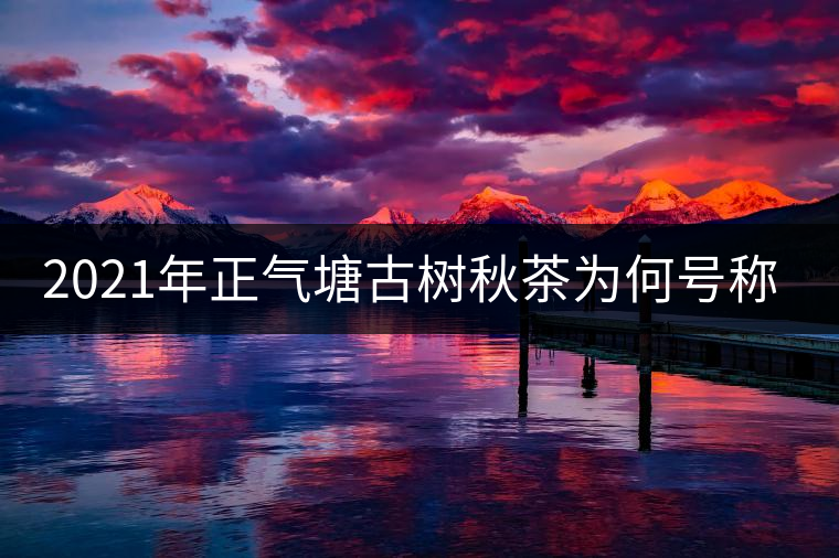 2021年正氣塘古樹秋茶為何號稱小冰島？