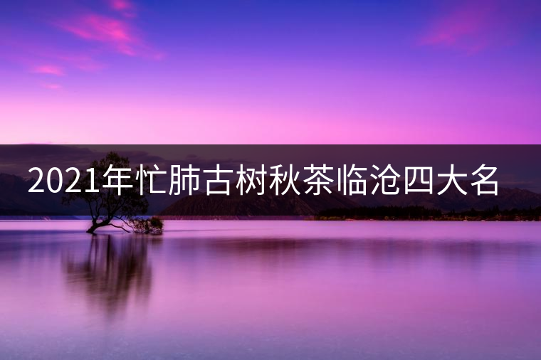 2021年忙肺古樹秋茶臨滄四大名茶之一！