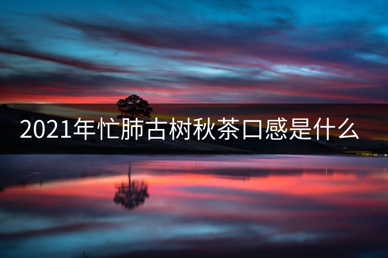 2021年忙肺古樹(shù)秋茶口感是什么? 2021年忙肺古樹(shù)秋茶口感是什么?