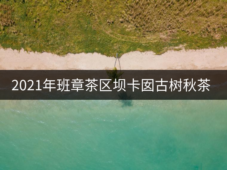 2021年班章茶區(qū)壩卡囡古樹秋茶多少錢一公斤？