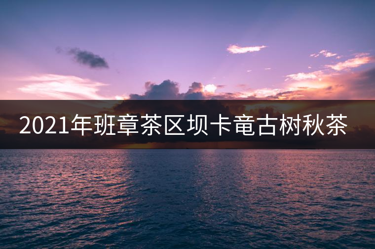 2021年班章茶區(qū)壩卡竜古樹秋茶多少錢一公斤？