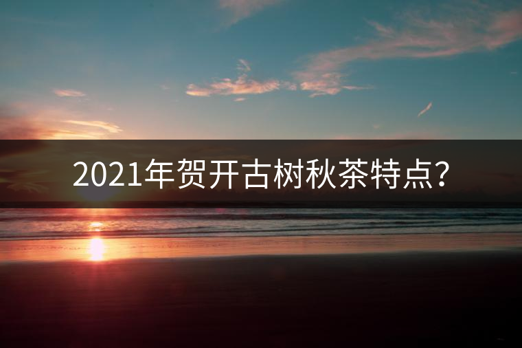 2021年賀開(kāi)古樹(shù)秋茶特點(diǎn)？