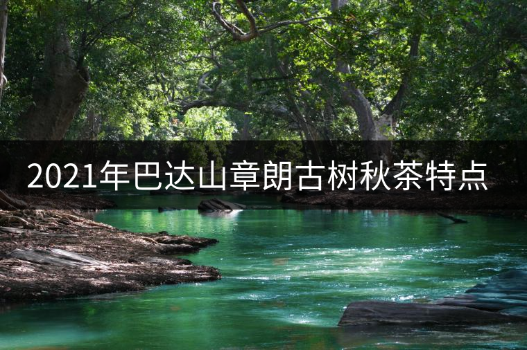 2021年巴達山章朗古樹秋茶特點？
