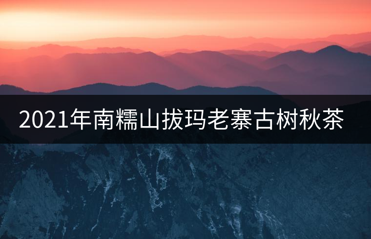 2021年南糯山拔瑪老寨古樹(shù)秋茶價(jià)格？