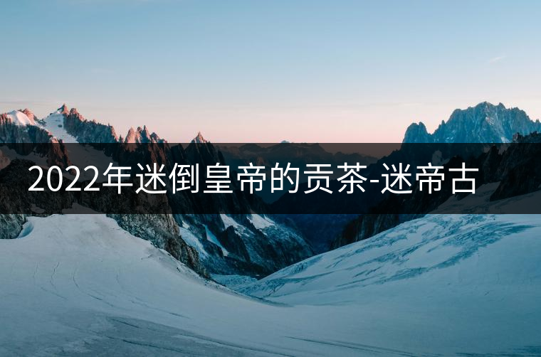 2022年迷倒皇帝的貢茶-迷帝古樹春茶特點(diǎn)？