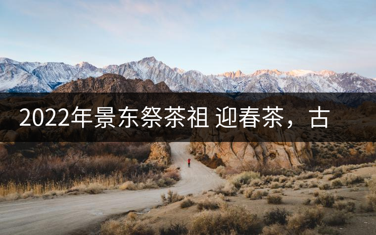 2022年景東祭茶祖 迎春茶，古樹(shù)春茶多少錢(qián)一公斤？