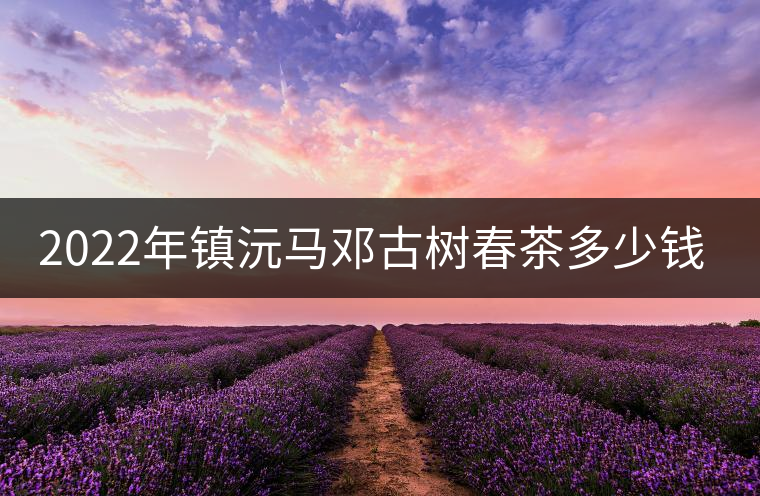 2022年鎮(zhèn)沅馬鄧古樹春茶多少錢一公斤？