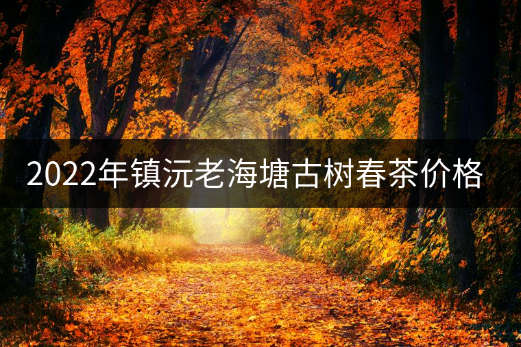 2022年鎮(zhèn)沅老海塘古樹春茶價格？